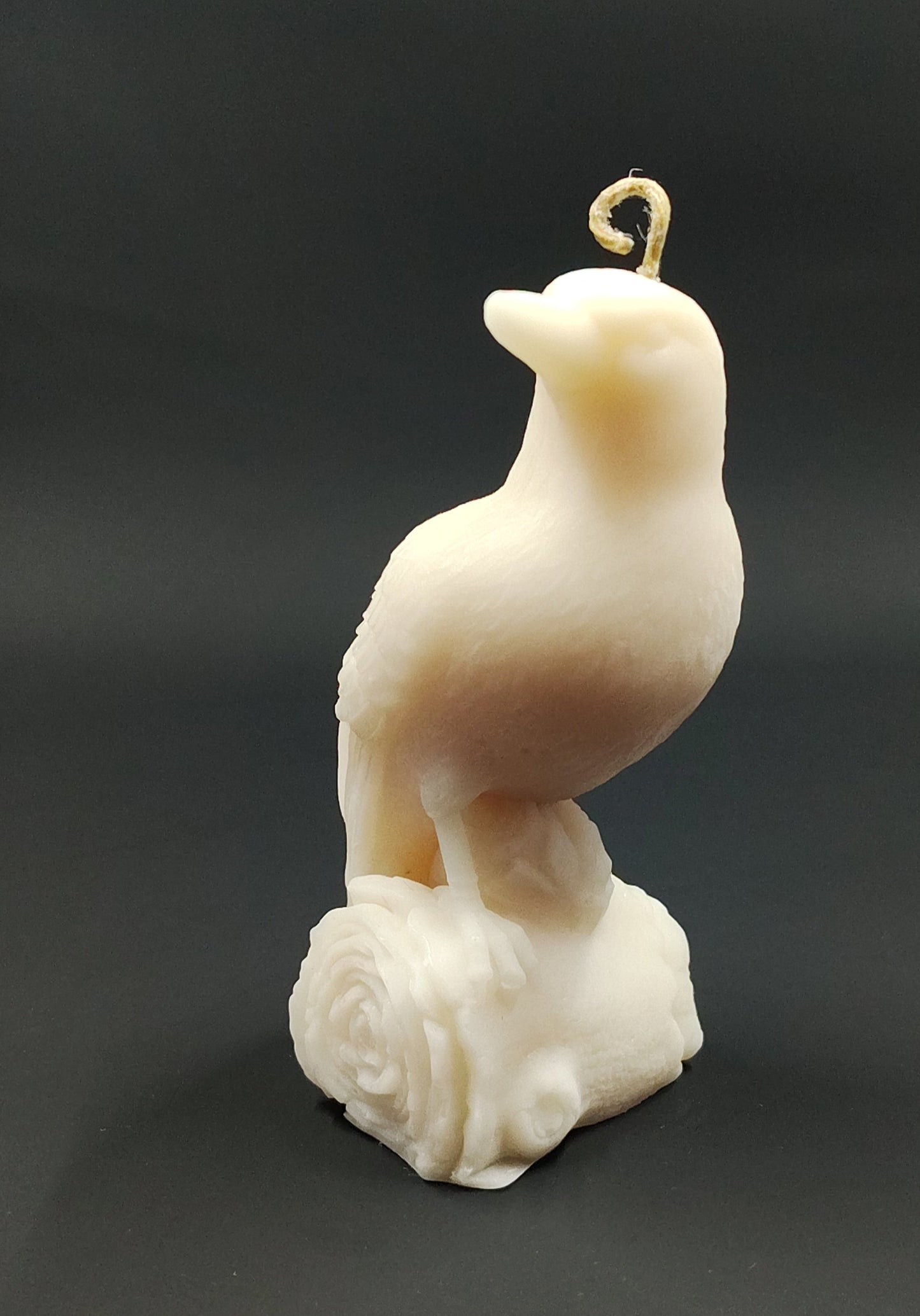 Scented Crow Candle - Cinnamon & Vanilla