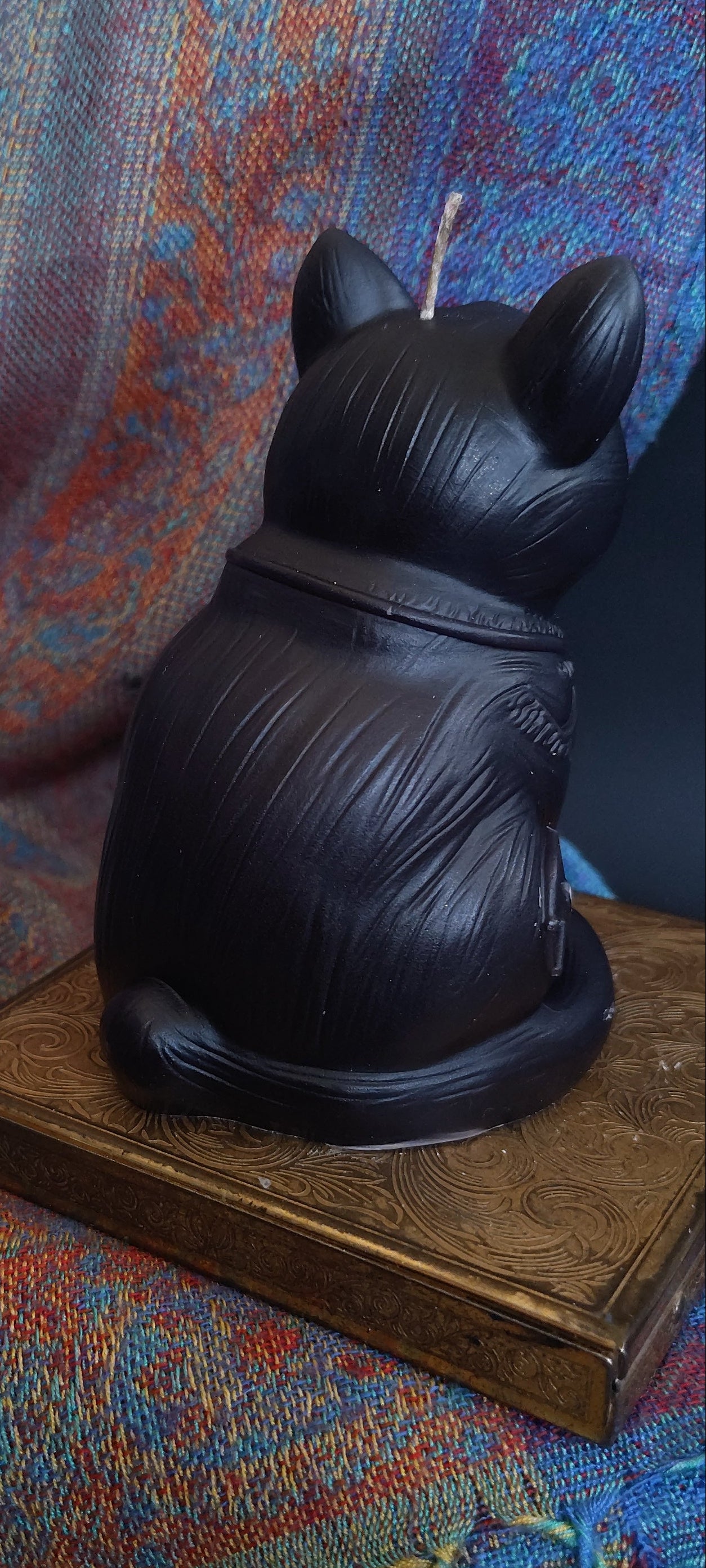 Close-up of a black cat from the back view, with a colorful fabric background.