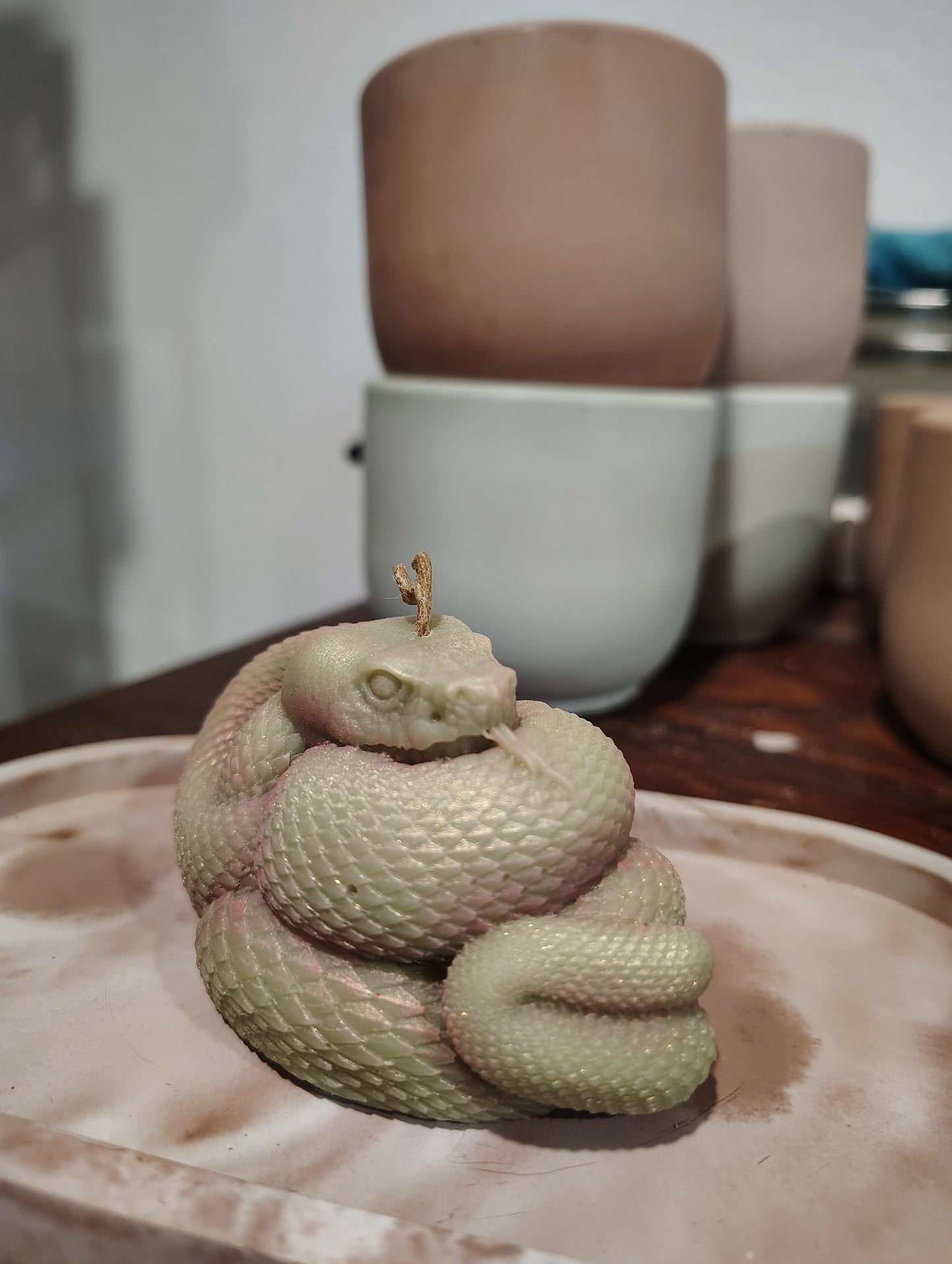 Small snake coiled on a wooden surface with a blurred background