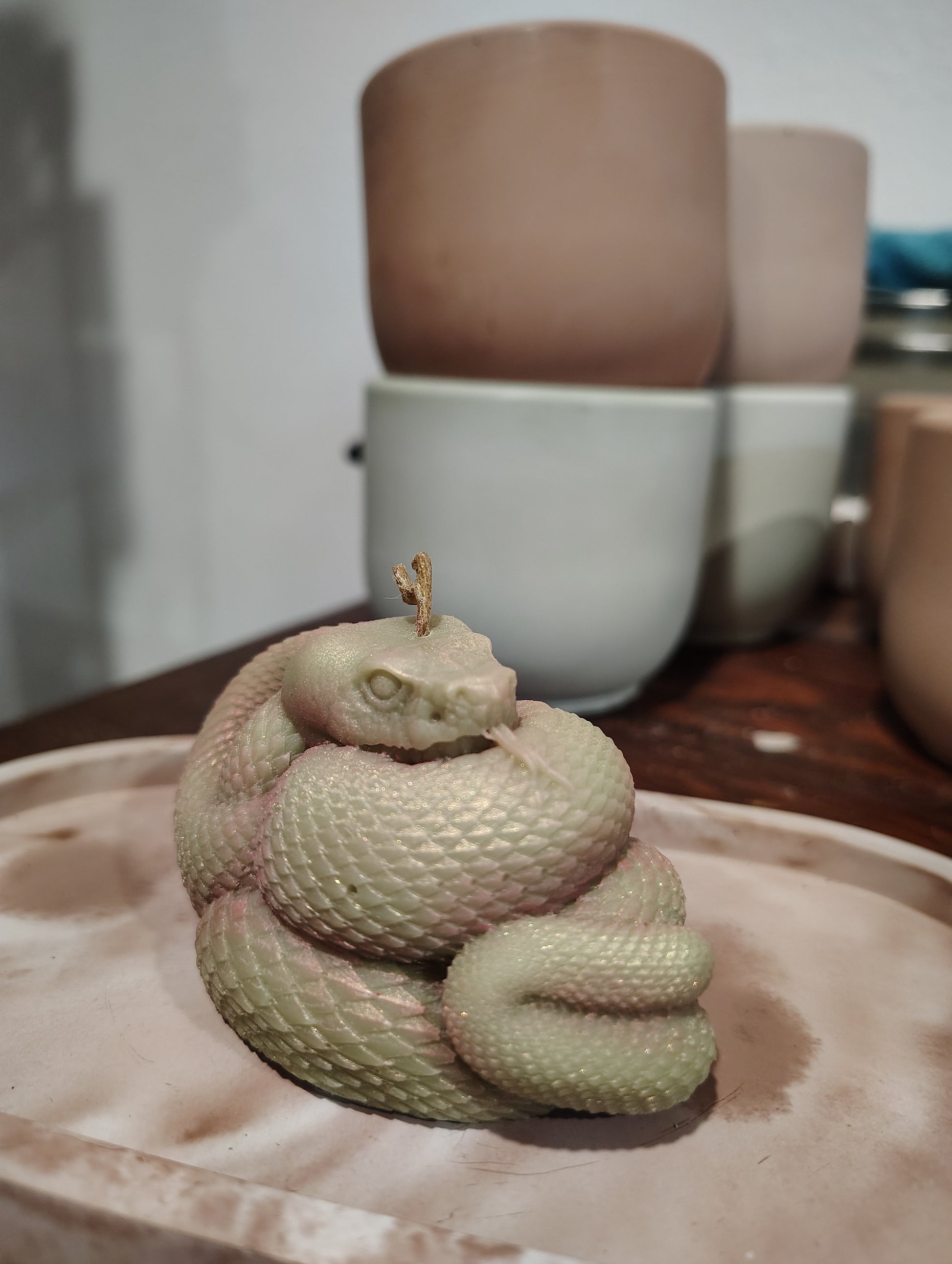 Small snake coiled on a wooden surface with a blurred background