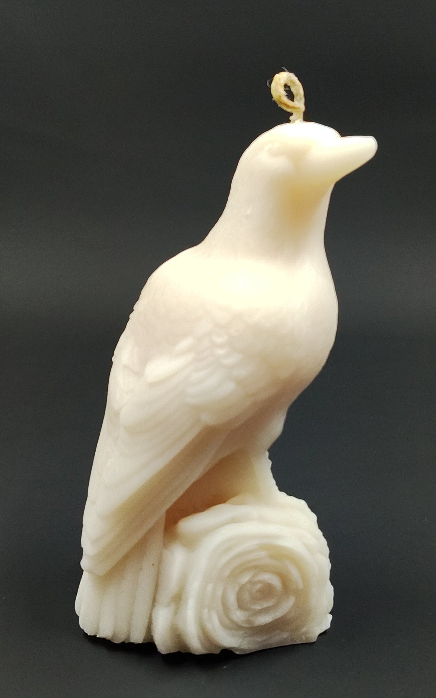 Scented Crow Candle - Cinnamon & Vanilla