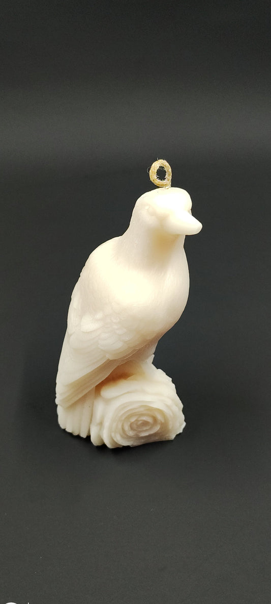 Scented Crow Candle - Cinnamon & Vanilla