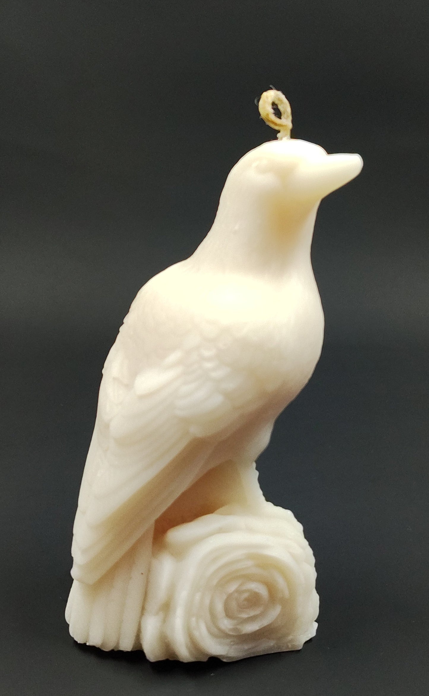 Scented Crow Candle - Cinnamon & Vanilla