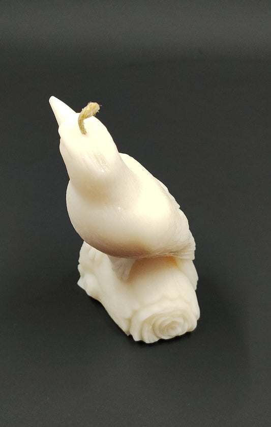 Scented Crow Candle - Cinnamon & Vanilla